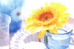 thumbs_card-1
